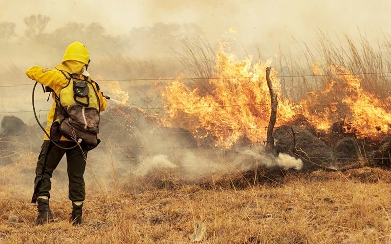 阿根廷因天气干燥而引发森林火灾。（图片来源：路透社）
