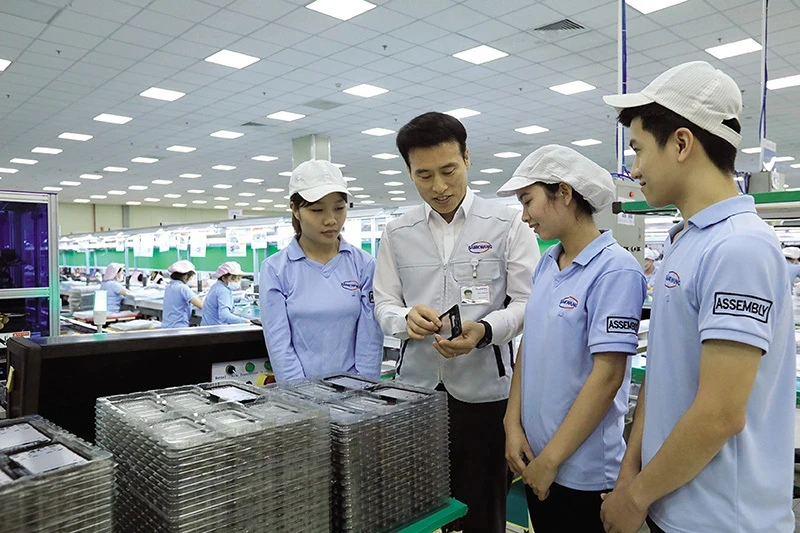 北江省越安市Samkwang公司工作人员。（图片来源：越通社）