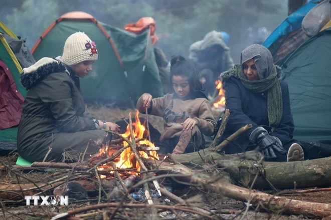 移民在白俄罗斯和波兰边境格罗德诺地区设立的临时营地。（图片来源：法新社/越通社）