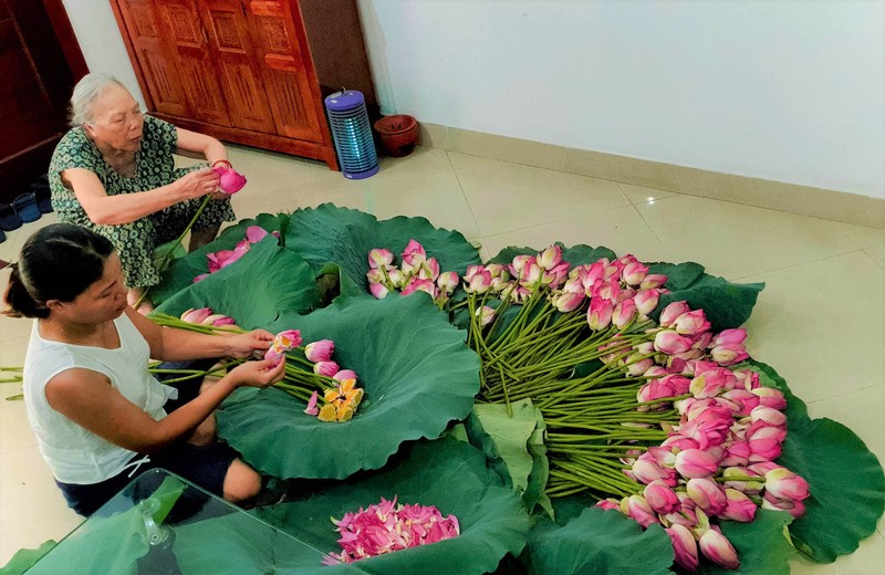 河内西湖广安荷花茶窨制工艺：河内人文化的精髓。