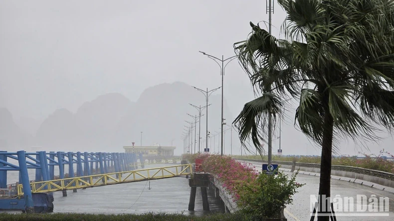 今天上午9时，广宁省下龙市雨势加大。