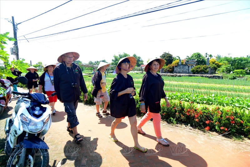 外国游客在广南省会安市茶桂村体验蔬菜种植活动。（图片来源：越南画报）