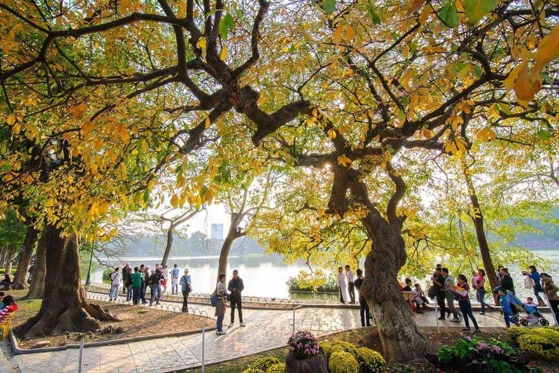 附图：秋季是河内的“旅游旺季”。