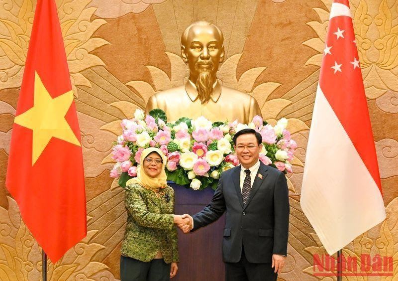 越南国会主席王廷惠会见新加坡总统哈莉玛·雅各布。（维玲 摄）