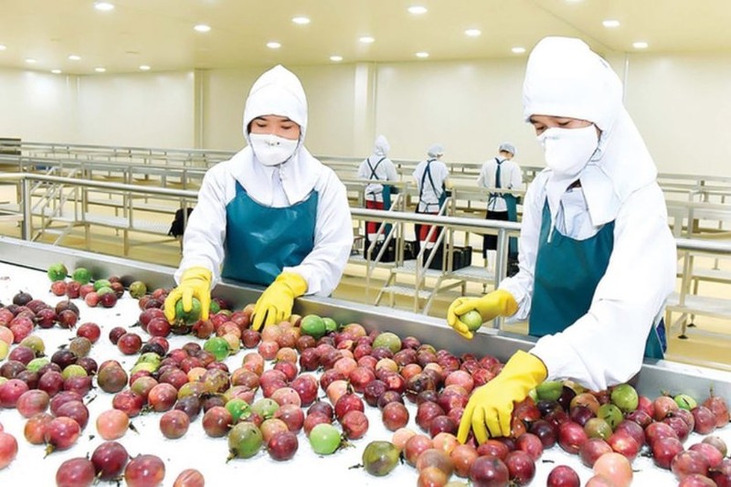 附图：越南果蔬制品出口额首次突破10亿美元的大关。