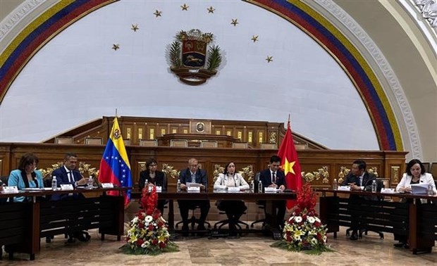 越南国会民族委员会代表团与委内瑞拉原住民副部长玛丽安·罗梅罗举行会谈。
