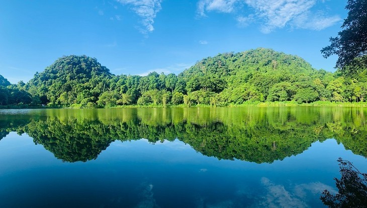 作为越南第一个国家公园，菊芳是森林生态的瑰宝之一。