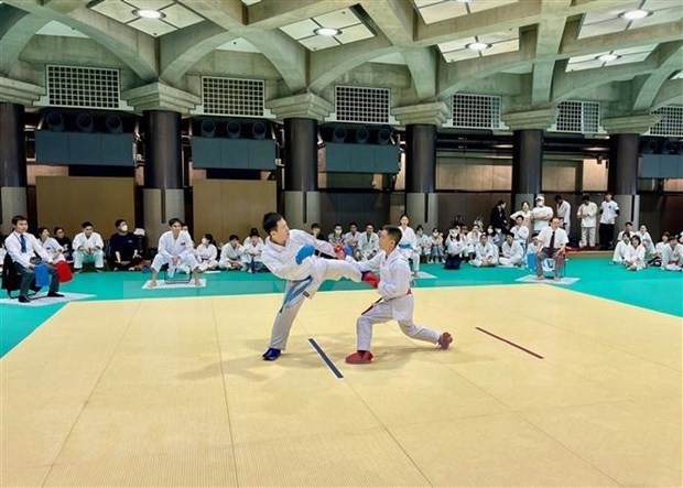 旅居日本越南人空手道锦标赛在东京道场隆重举行。