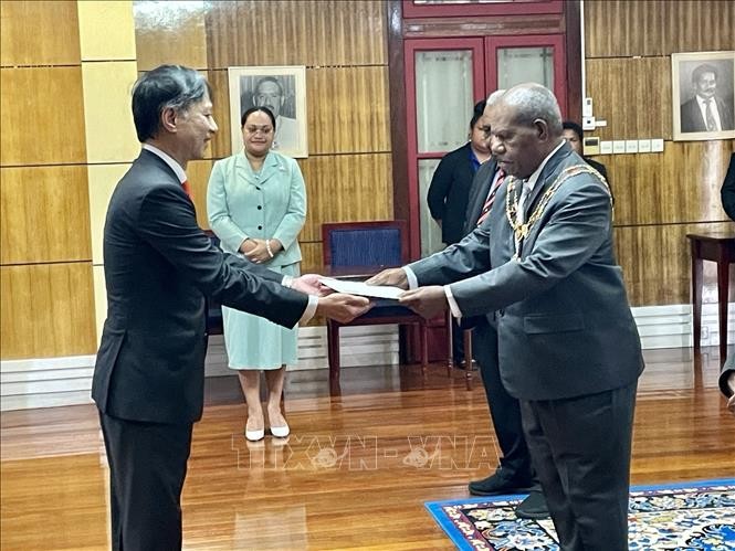 越南驻巴布亚新几内亚大使阮必成向巴布亚新几内亚总督鲍勃·达达埃递交越南国家主席武文赏的国书。（图片来源：越通社）
