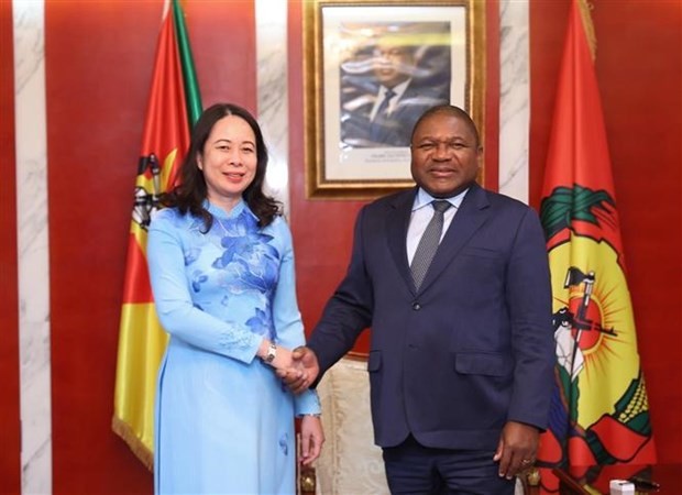 武氏映春副主席会见莫桑比克解放阵线党主席、总统菲利佩·纳杜(Filipe Nyusi)。