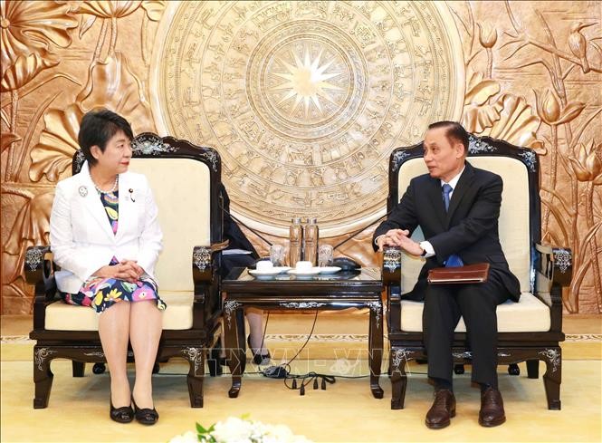 中央对外部部长黎怀忠与日本外务大臣上川阳子。（图片来源：越通社）