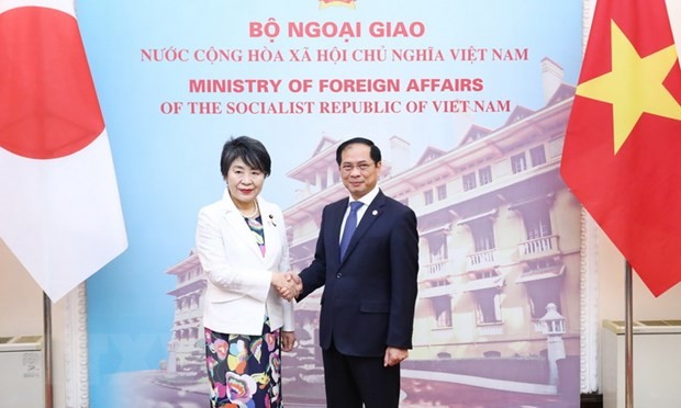 越南外交部部长裴青山与日本外务大臣上川阳子。
