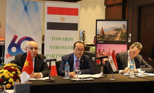 越南驻埃及大使阮辉勇在研讨会上发表讲话。