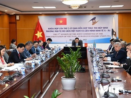 《越南与欧亚经济联盟自贸协定》实施混合委员会第五次会议。