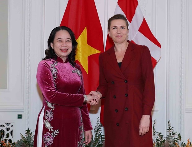 越南国家副主席武氏映春会见丹麦首相梅特·弗雷泽里克森。