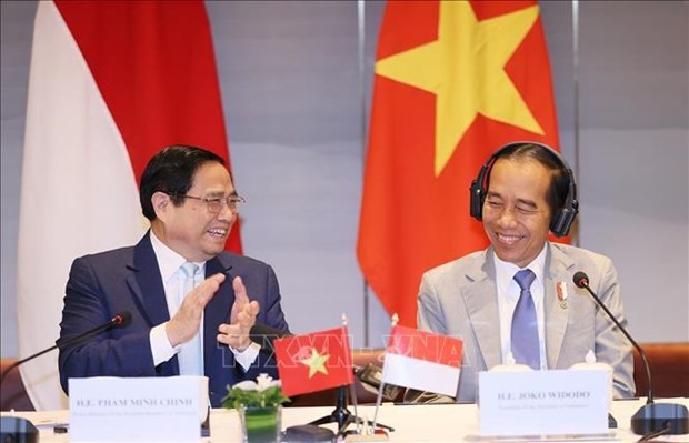 越南政府总理范明正与印尼总统佐科·维多多主持两国企业高级对话会。 