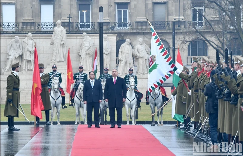 匈牙利对范明正总理和夫人及越南高级代表团给予高度重视、诚挚和充满友好情谊的接待。