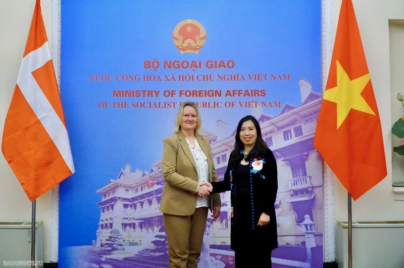 越南外交部副部长黎氏秋姮和丹麦外交部国务秘书丽娜·汉森共同主持会议。