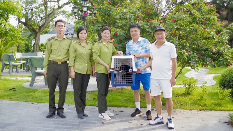 越南菊芳国家公园成功营救一只珍稀的北黄颊长臂猿。