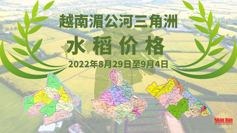 越南湄公河三角洲水稻价格（2022.8.29~9.4）【图表新闻】