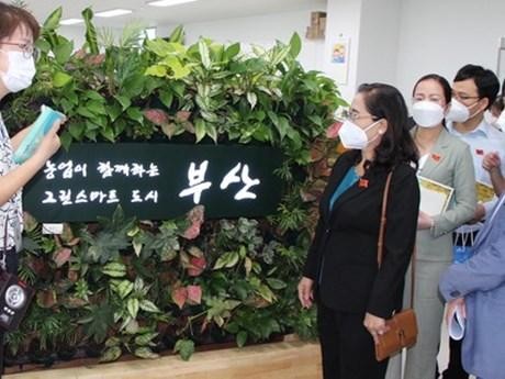 胡志明市委副书记、人民议会主席阮氏丽一行造访釜山农业技术中心。