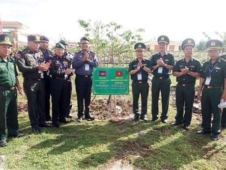 越柬两国军官代表团举行了青年植树活动。