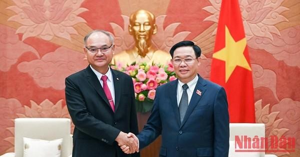 越南国会主席王廷惠会见泰国上议院第一副议长Singsuk Singpai大将。（维玲 摄）