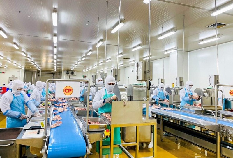 CPV Food出口加工鸡肉场内的生产。