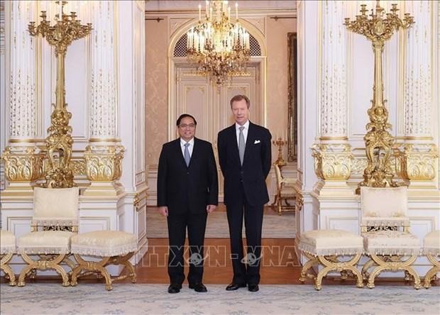 越南政府总理范明正会见卢森堡大公亨利。