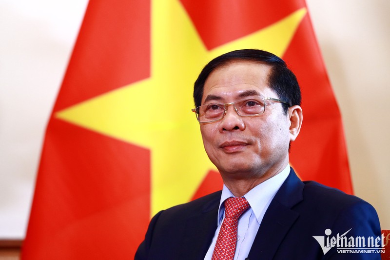 越南外交部部长裴青山。（图片来源：越通社）