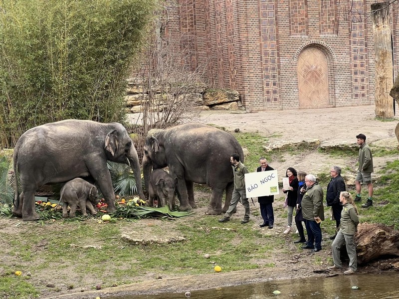 越南驻德国大使武光明和夫人阮明幸出席小象命名仪式。