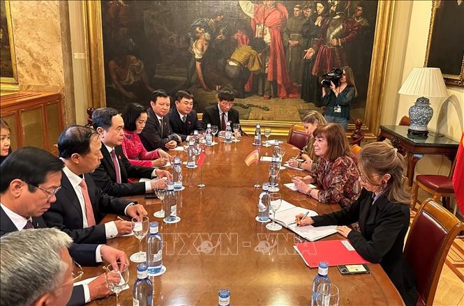 越南国会常务副主席陈青敏与西班牙参议院副议长克里斯蒂娜·纳尔博纳举行会谈。（图片来源：越通社）