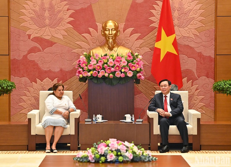 越南国会主席王廷惠会见古巴妇联总书记阿玛雷耶。（维玲 摄）
