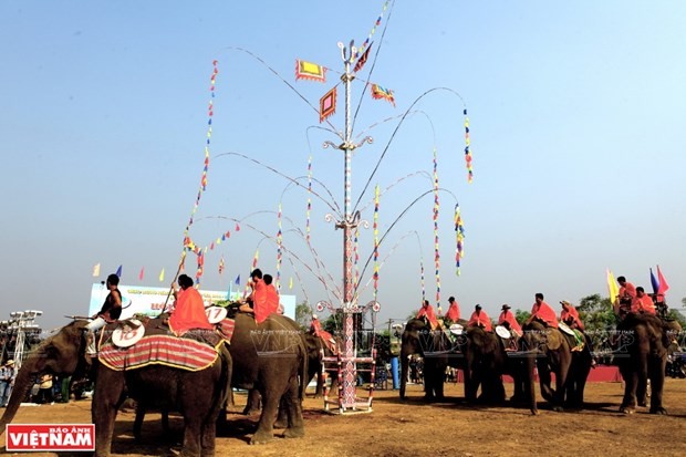 得乐省独特的为大象健康祭祀仪式。（图片来源：《越南画报》）