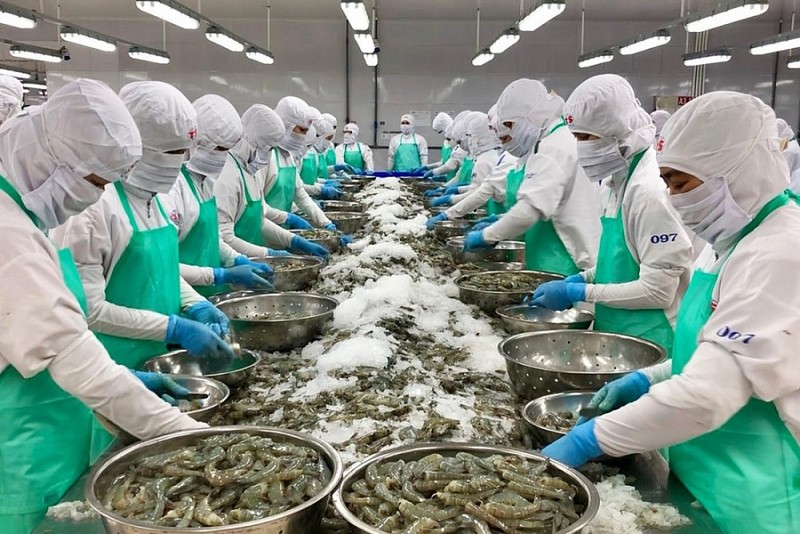 附图：越南虾类生产。