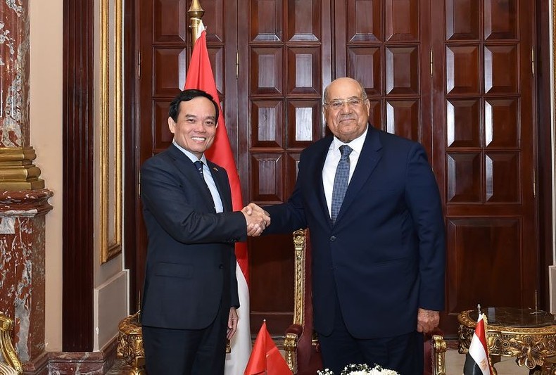 越南政府副总理陈流光会见埃及参议院议长阿卜杜勒·瓦哈卜·拉泽克。
