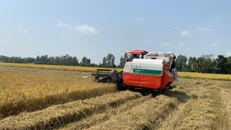 安江省话山县望东乡的稻米收割。