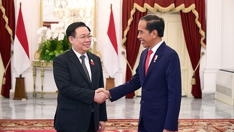 越南国会主席王廷惠会见印尼总统佐科·维多多。（图片来源：越通社）