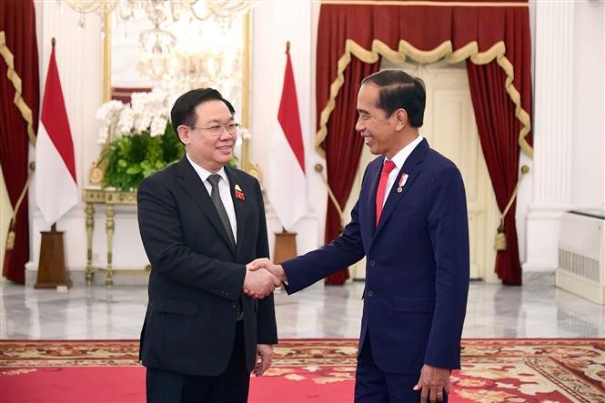 越南国会主席王廷惠会见印尼总统佐科·维多多。