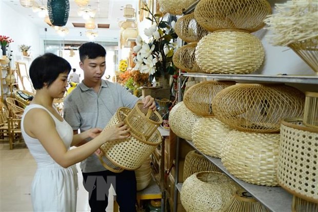 越南中小型企业对接项目落地见效。