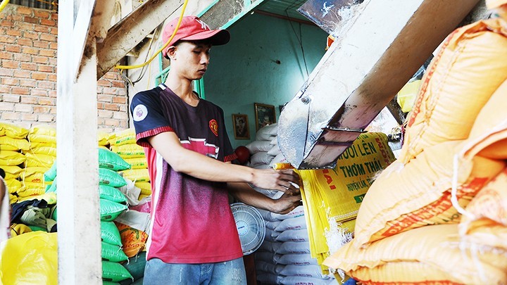 企业进行出口大米收购和包装。（双英 摄）