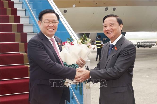 国会副主席阮克定在内排国际机场举行仪式欢迎国会主席王廷惠。
