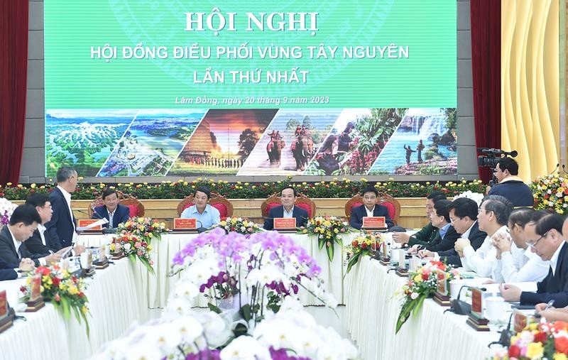 越南政府副总理陈流光主持会议。（图片来源：VGP）