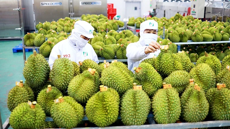 附图：中国是越南第一大果蔬进口市场。