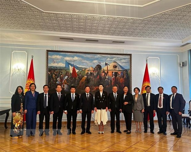 越南国会副主席阮克定（左六）与吉尔吉斯斯坦议会副议长伊萨耶娃（左七）以及双方代表合影。（图片来源：越通社）