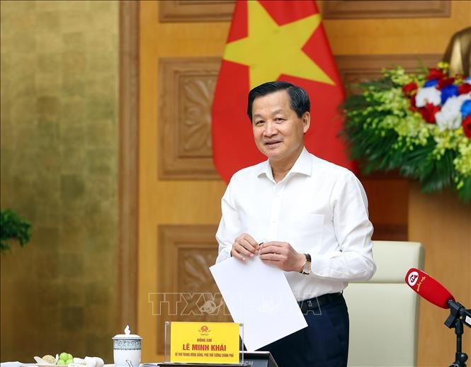 越南政府副总理黎明慨在会上发表讲话。（图片来源：越通社）