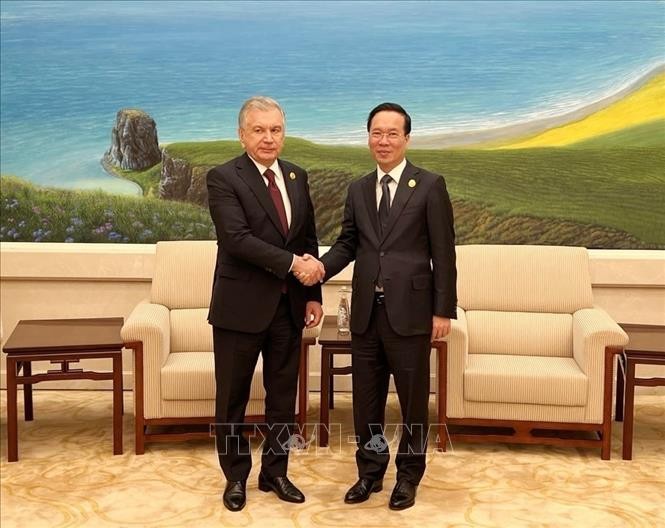 越南国家主席武文赏会见乌兹别克斯坦总统沙夫卡特·米尔济约耶夫。（图片来源：越通社）