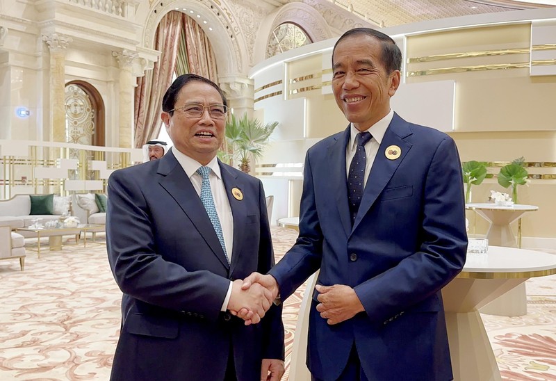 越南政府总理范明正会见印度尼西亚总统佐科·维多多。（图片来源：越通社）