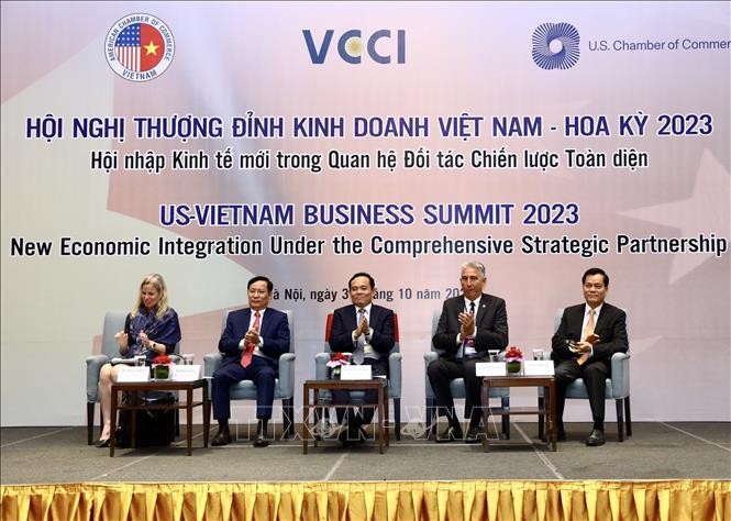 越南政府副总理陈流光（中）出席峰会。（图片来源：越通社）