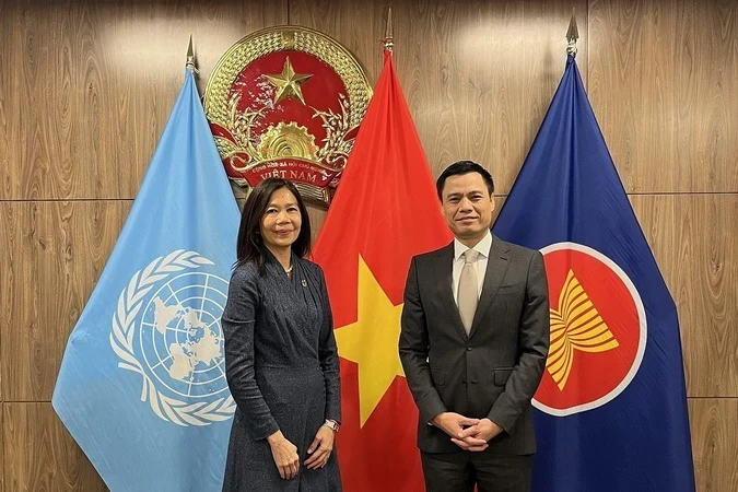 越南常驻联合国代表团团长邓黄江大使会见联合国驻越南协调员宝琳·塔梅西斯。（图片来源：越通社）